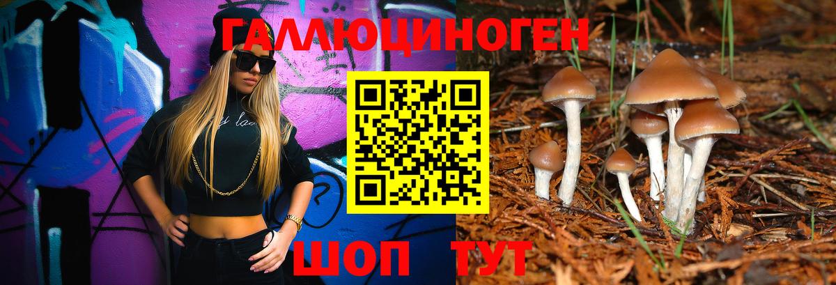 Галлюциногенные грибы мицелий Топки