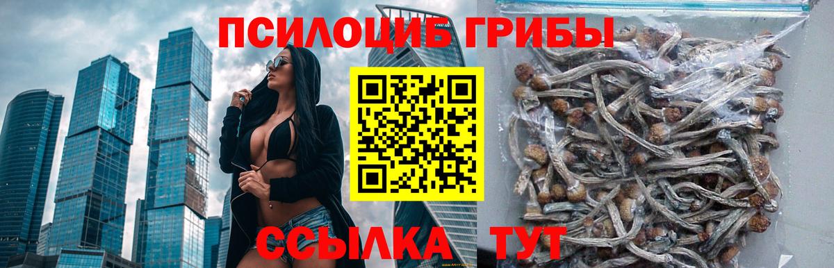 Топки  Псилоцибиновые грибы мицелий  Вход с VPN 